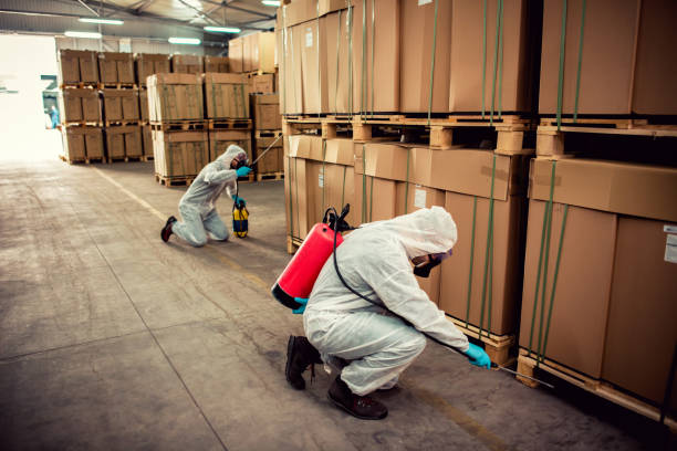 Best Flea Control Services  in Warren, IL