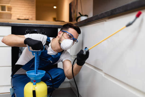 Best Residential Pest Control  in Warren, IL