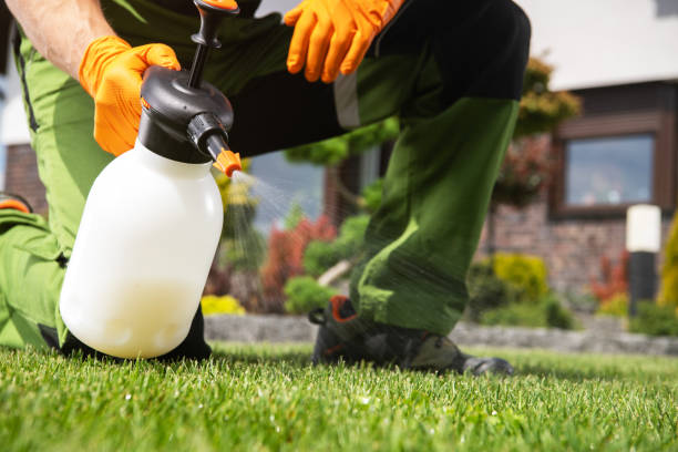 Best Spider Control Near Me  in Warren, IL