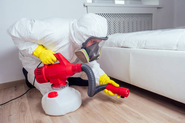 Insect Control in Warren, IL