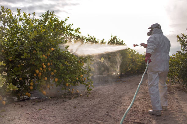 Best Wildlife Control Services  in Warren, IL