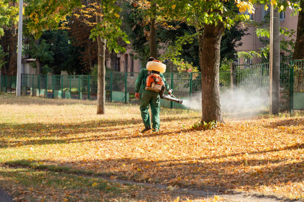 Best Pest Prevention Services  in Warren, IL