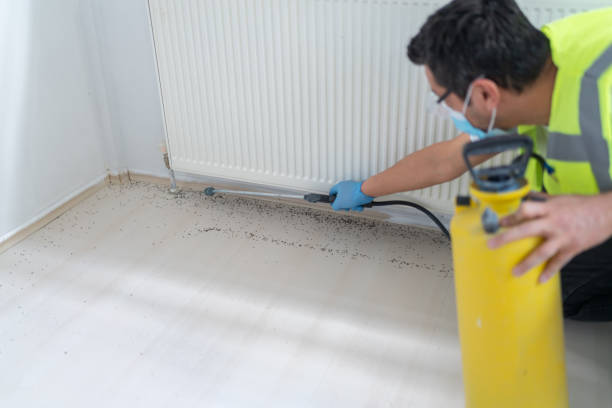 Best Pest Control Treatment  in Warren, IL
