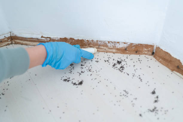 Best Mosquito Control Services  in Warren, IL